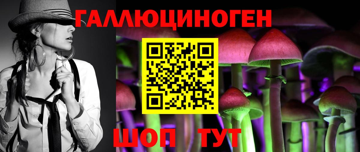 Псилоцибиновые грибы Magic Shrooms  Галлюциногенные грибы Psilocybine cubensis  Санкт-Петербург  Вход с VPN 