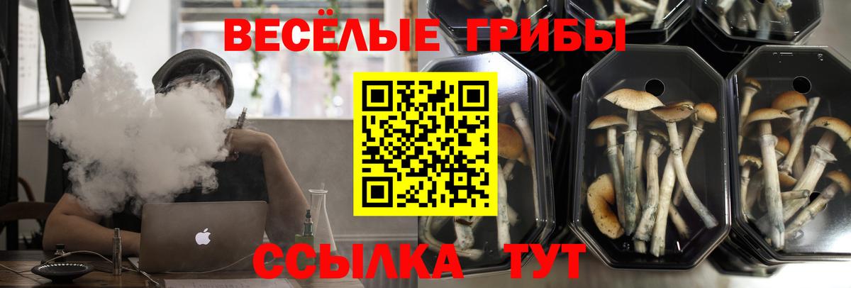 Галлюциногенные грибы Psilocybine cubensis Санкт-Петербург